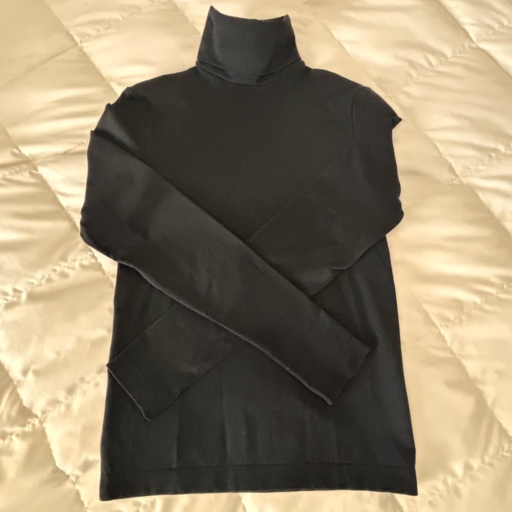 Wilford stretchy turtleneck. Very good condition, worn once or twice. No flaws